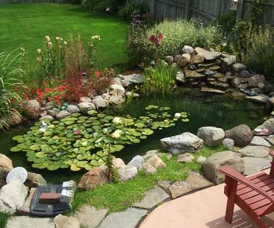 aqua-pond