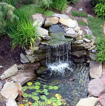 aqua-pond