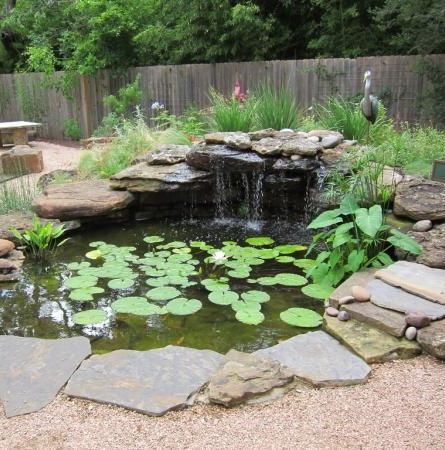 aqua-pond