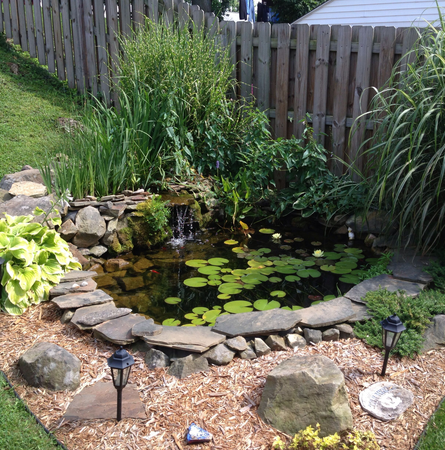 aqua-pond