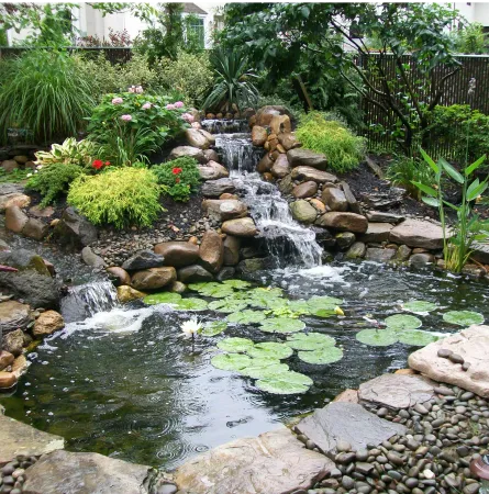 aqua-pond